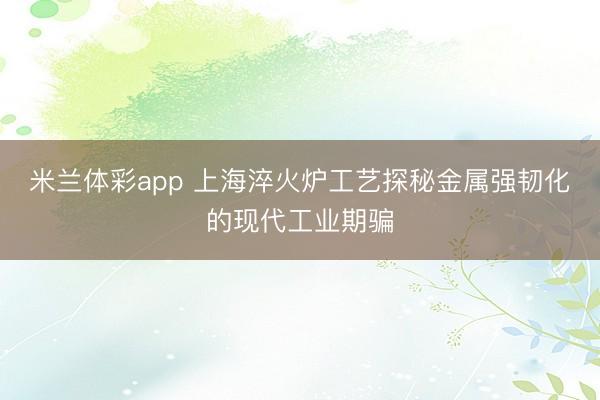 米兰体彩app 上海淬火炉工艺探秘金属强韧化的现代工业期骗