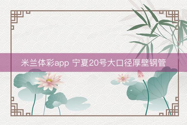 米兰体彩app 宁夏20号大口径厚壁钢管