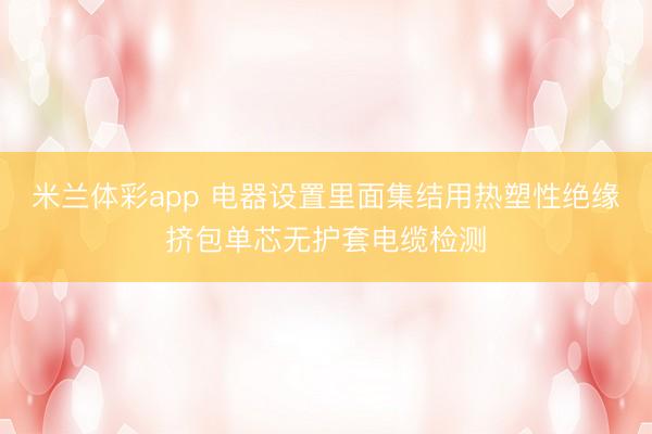 米兰体彩app 电器设置里面集结用热塑性绝缘挤包单芯无护套电缆检测