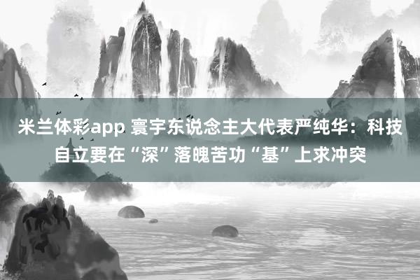 米兰体彩app 寰宇东说念主大代表严纯华：科技自立要在“深”落魄苦功“基”上求冲突