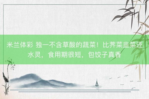 米兰体彩 独一不含草酸的蔬菜！比荠菜韭菜还水灵，食用期很短，包饺子真香