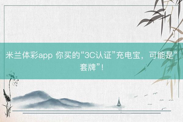 米兰体彩app 你买的“3C认证”充电宝，可能是“套牌”！
