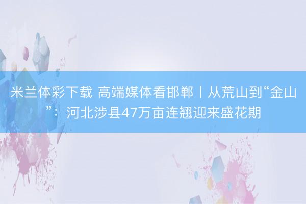 米兰体彩下载 高端媒体看邯郸丨从荒山到“金山”：河北涉县47万亩连翘迎来盛花期
