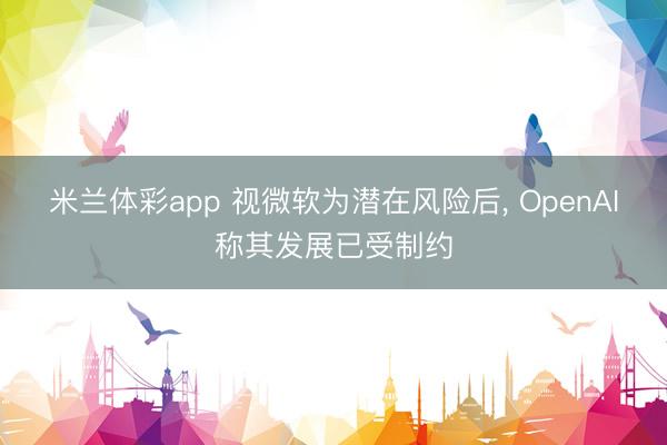 米兰体彩app 视微软为潜在风险后, OpenAI称其发展已受制约