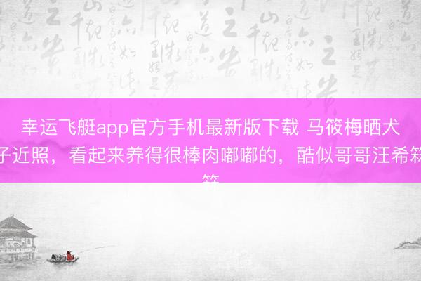 幸运飞艇app官方手机最新版下载 马筱梅晒犬子近照,看起来养得很棒肉嘟嘟的,酷似哥哥汪希箖